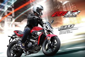 ZS250GS-3ͼ(2)