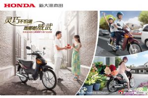 �������� SDH100-43Aͼ��(3��)