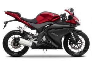 2014 YZF R125�������(3��)