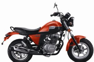 YG150-22�������(8��)