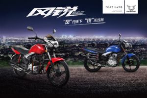 ZS150-40Fͼ(6)