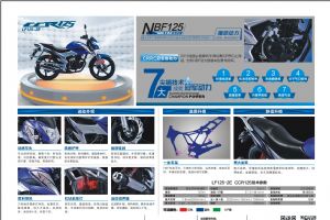 LF125-2E(CCR125)ͼ��(1��)