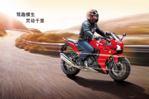 2014 CBR500Rͼ��(4��)