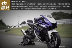 2014 YZF-R25ϸ��չʾ(22��)