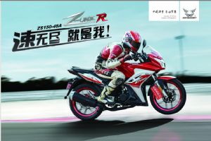 Z-oneR ZS150-48A()ͼ1(6)