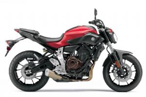 2015��FZ-07(������)�������(12��)