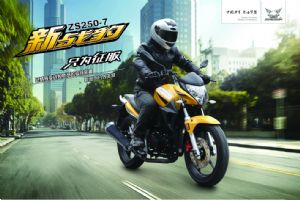 ս ZS250-7ͼ(4)
