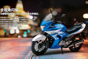 GW250Fͼ��(6��)