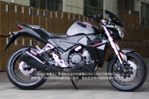 N10(250CC)̫��սʿ �ξ�N10Sʵ��(25��)