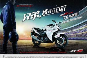 LF150-10Sͼ��(2��)