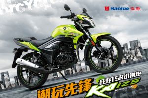 HJ125-22ͼ��(8��)