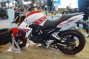 YG250-NT2014Ħ����(6��)
