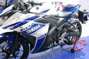 2014 YZF-R252014Ħ����2014 YZF-R25(4��)