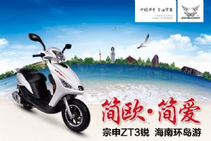 ZS125T-20ŷ ZT3ϻ(һ)(30)