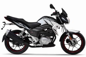 Z-one 2015ZS150-48A(5)