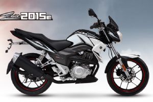 2015ZS150-48Aͼ(10)