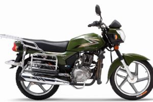  2015ZS150-6E(׼)(3)
