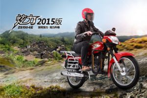 2015ZS150-6E(׼)ͼ(9)