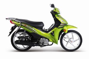 V5 ZS110-9D(8)