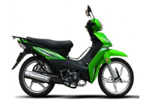 LF125-8D�������(1��)