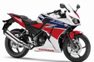 CBR300R�������(3��)