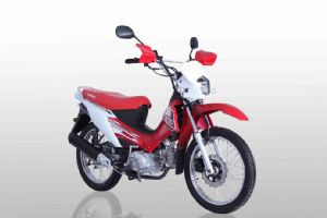 LF125-26B(����)�������(1��)