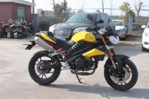 ���� BD250GS�������(7��)