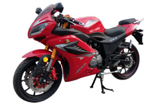������ DLS200-2X