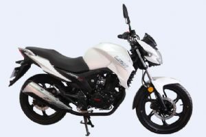 2015��LF150-10B�������(5��)