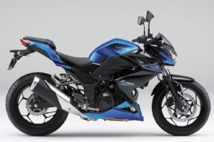 2015��Z250(������)�������(6��)