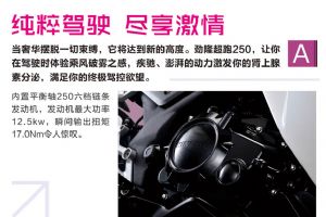 JL250GS-2-TBD��Ʒ�ֲ�(8��)