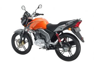 GSX125ͼƬ(14)