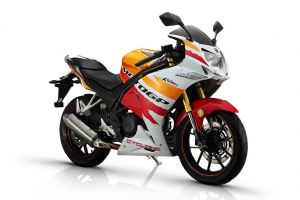 RC3 ZS250GS-2ֲϸ(17)