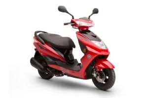 ZY125T-5�������(13��)