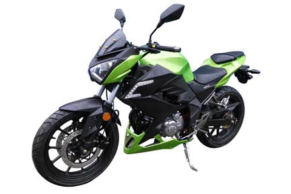 ������ DLS200-4X