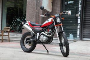 HJ250GYʵ����Ƭ(19��)