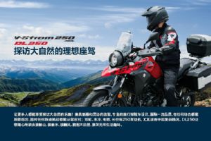 DL250��Ʒ�ֲ�(16��)