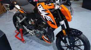 200 DUKE2017Ħ����(5��)