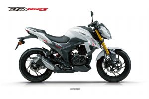 DR160S HJ150-10D��ѡ��ɫ(5��)