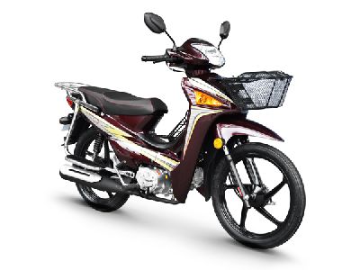  YG110-9B