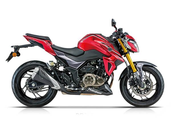 ������ľ DR300