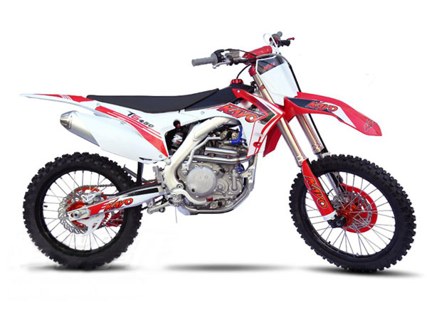 ����  T6 2019�� 