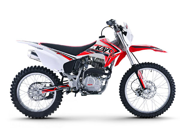 ����  T1 2019�� 