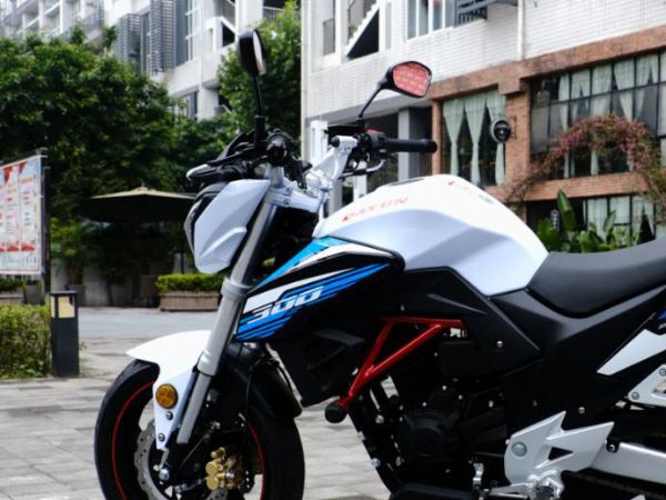 �����˶��ֳ�������������300ZF����