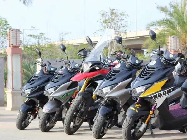 ���ϲ�����Ѳɽ�����ϳ�����ָɽ�μ�