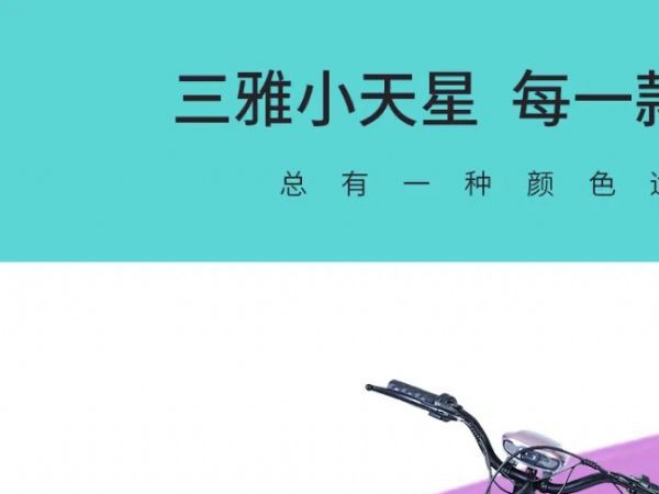 ���ŵ綯���г�ϵ��|С����TDT002Z