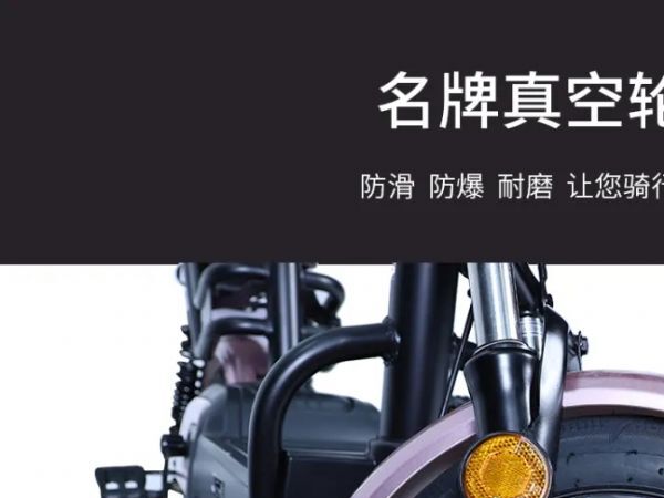 ���ŵ綯���г�ϵ��|С����TDT002Z