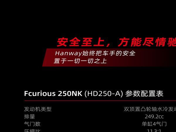 ��˳�ҿ���Furious250NK