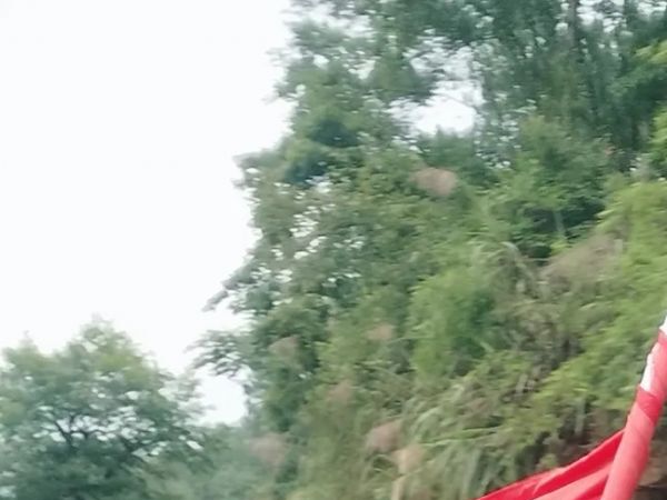 ��ͯС��㣺��̤���ѡ̤���е�ս����